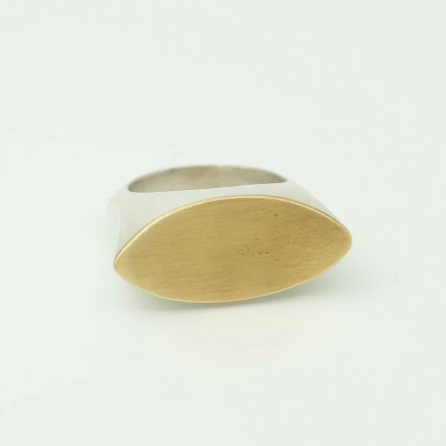 Brass and silver ring